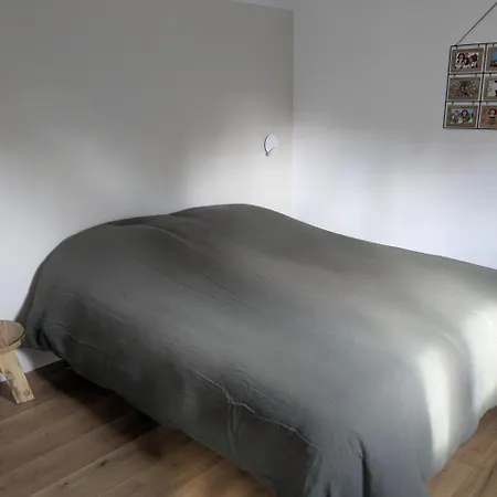 Appartement Au Nid De Cigo Sigolsheim