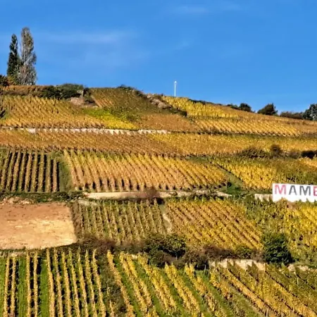 アパート Au Nid De Cigo *