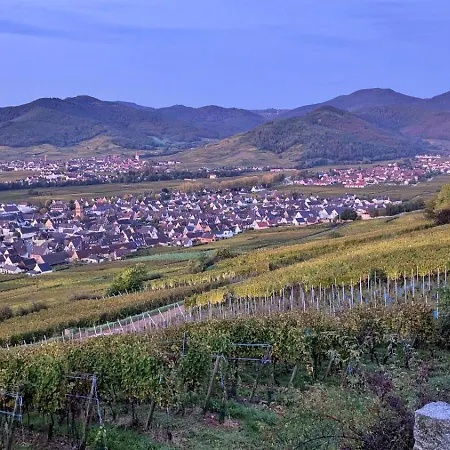 Au Nid De Cigo アパート *