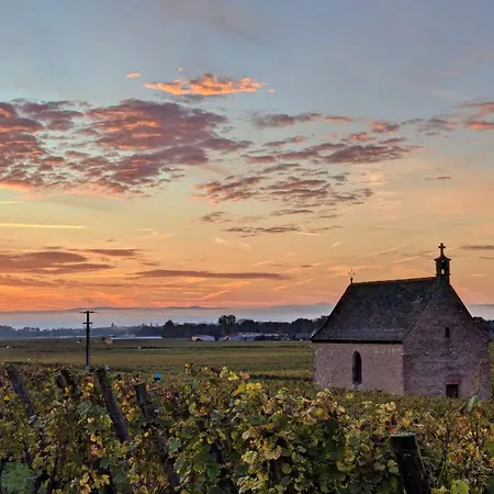 Au Nid De Cigo アパート *