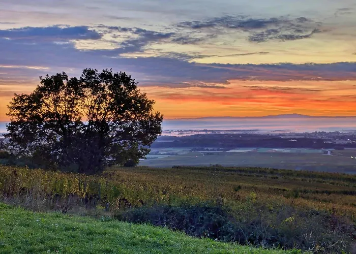 Au Nid De Cigo * Sigolsheim